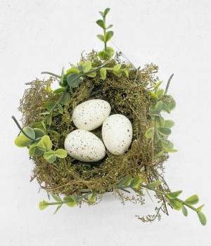 Egg Nest